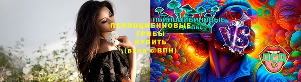 mix Богородицк